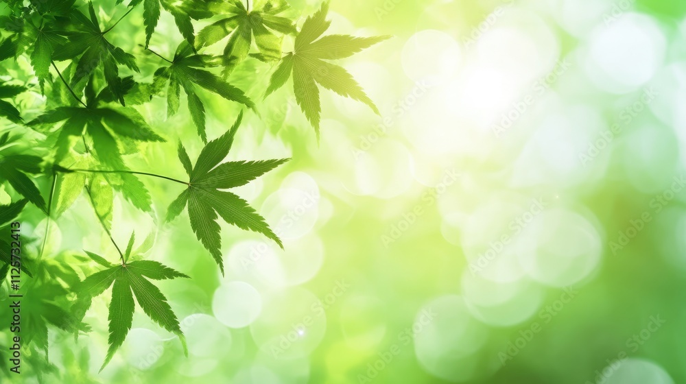 Poster Lush abstract background of blurred green maple leaves with soft natural lighting creating a serene and tranquil atmosphere.