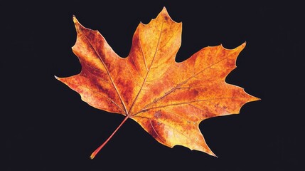 vibrant autumn maple leaf isolated on dark background showcasing rich colors and intricate details of nature's seasonal beauty