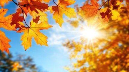 Obraz premium Autumn maple tree branch with vibrant yellow and orange leaves against a bright blue sky and sunlit backdrop ideal for seasonal themes