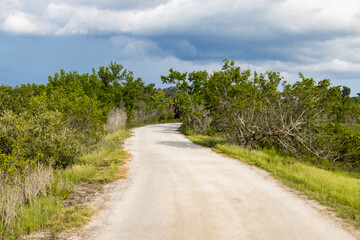 A footpath through a lush green coastal Florida landscape with an ominous looming storm in the distant sky.