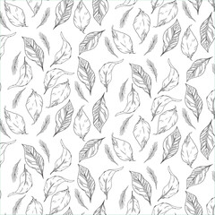 outline seamless of leaves vector pattern background, Abstract seamless Nature leaves pattern illustration