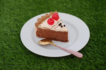A piece of cake on a plate with grass background