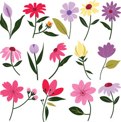 Set of different tipes of illustration of flowers with green leafs on a white background