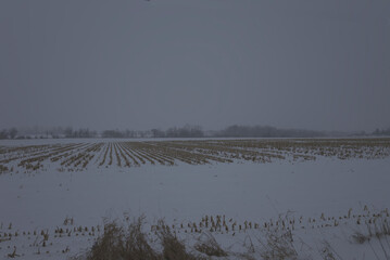 A farmers field in a winter scene
