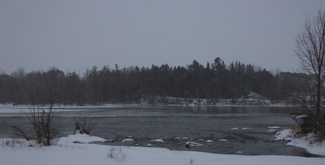 Landscape featuring a river and trees