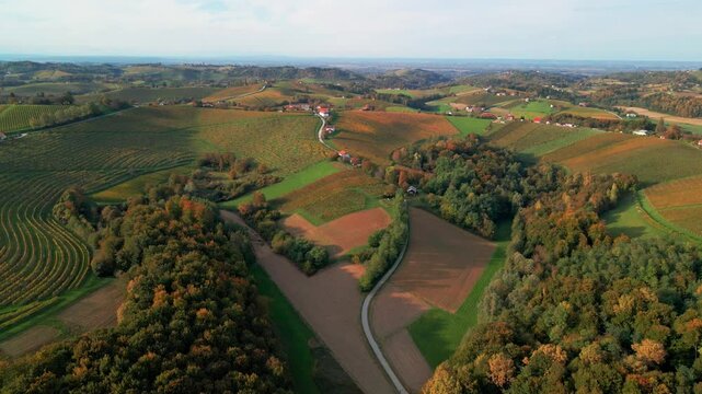 Stunning aerial 4K drone footage of an wine region of Jeruzalem, Slovenia. Filmed on a crisp, sunny late autumn day, this video shows beautiful Slovenian countryside surrounded by vineyards.