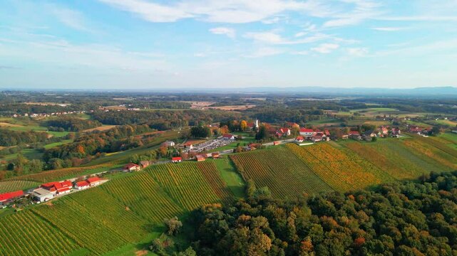 Stunning aerial 4K drone footage of an wine region of Kog, Slovenia. Filmed on a crisp, sunny late autumn day, this video shows beautiful Slovenian countryside surrounded by vineyards.