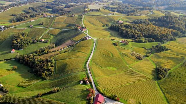Stunning aerial 4K drone footage of an wine region of Kog, Slovenia. Filmed on a crisp, sunny late autumn day, this video shows beautiful Slovenian countryside surrounded by vineyards.