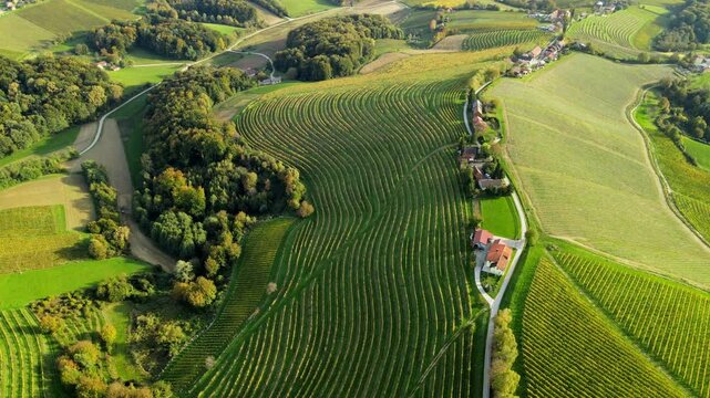 Stunning aerial 4K drone footage of an wine region of Jeruzalem, Slovenia. Filmed on a crisp, sunny late autumn day, this video shows beautiful Slovenian countryside surrounded by vineyards.