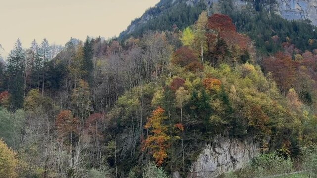 Swiss Alps Alpine forested landscape, autumnal trees mountains from Stechelberg