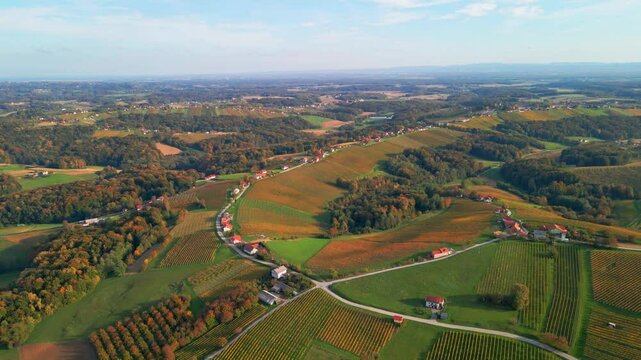 Stunning aerial 4K drone footage of an wine region of Kog, Slovenia. Filmed on a crisp, sunny late autumn day, this video shows beautiful Slovenian countryside surrounded by vineyards.