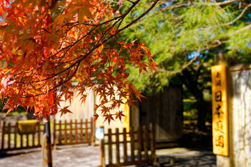 Naklejka premium 紅葉が美しい翠楽苑の秋