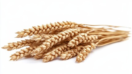 Wheat field isolated on a white background, cutout style, showcasing the golden stalks of wheat swaying in the wind, symbolizing agriculture, nature, and harvest.