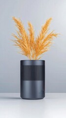 Dried Pampas Grass in Modern Black Cylinder Vase.