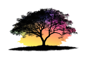 A vibrant tree silhouette against a colorful sunset gradient background, symbolizing nature and tranquility.
