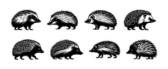 Hedgehog silhouette set, isolated background