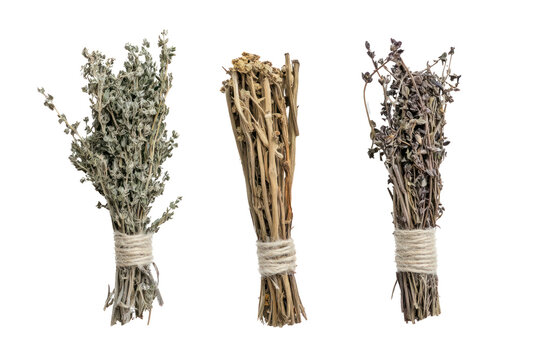 Dried herbs bundles on a white isolated background for culinary or decorative use.