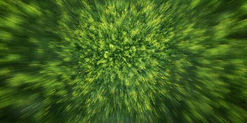 Top View of Vibrant Green Foliage with a Dynamic Zoom Effect in a Radial Motion Blur Perspective
