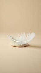 Obraz premium Macro Shot of White Feather on Smooth beige background. Ideal for meditation apps, wellness branding, or interior decor