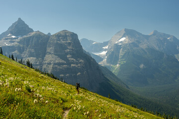 Backpacker Is Dwarfed By Her Surrounding In Glacier