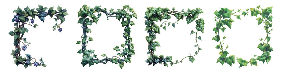 Fototapeta premium Green Ivy Frames on Transparent Background