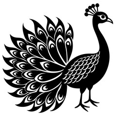 peacock vector