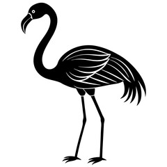 illustration of a flamingo
