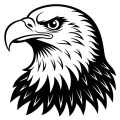 bald eagle head