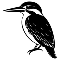 illustration of a bird
