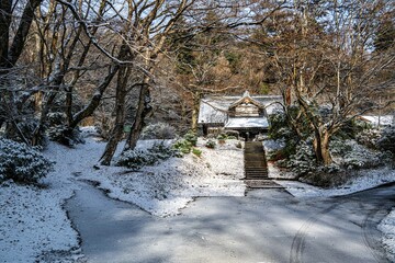 雪の降る寒い日
