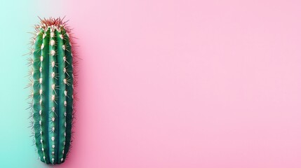 Naklejka premium Vibrant Green Cactus on Soft Pink and Blue Background for Decor