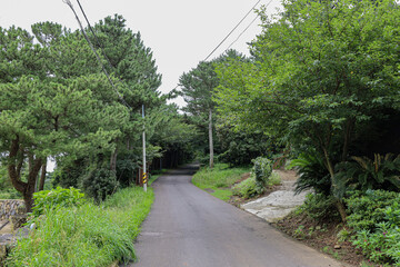 산 정상을 올라가는 숲 길 제주 서귀포시 표선면 성읍리 백약이오름