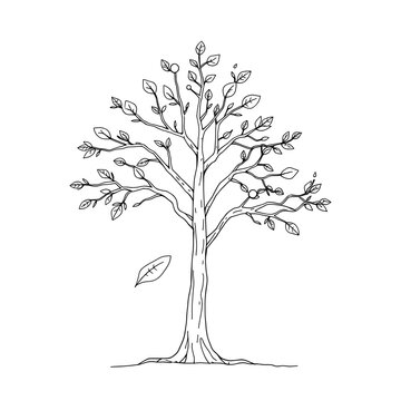 recommend clip art: A continuous line art sketch of a financial growth tree
