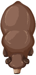Top View of a Brown Bear