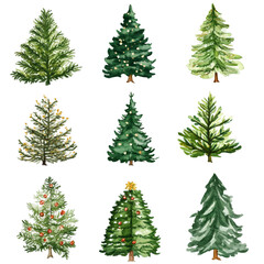 Fototapeta premium Nine Watercolor Christmas Trees: A Festive Collection of Evergreen Conifers