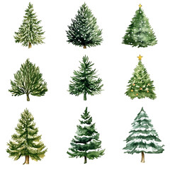 Obraz premium Nine Watercolor Christmas Trees Collection