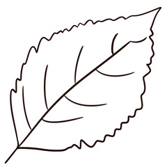 silhouette of a person