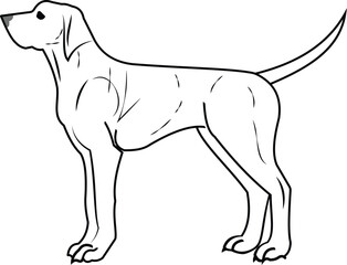 Dog breeds outline vector illustration