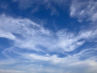 Framed by Nature: Whispering Clouds and Tree Silhouettes Against an Open Sky