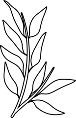 Eucalyptus leaf coloring outline vector