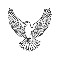 Obraz premium Majestic Flight: A Black and White Bird in Artistic Design