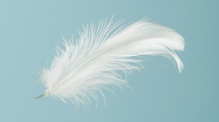 47.Isolated white feather in mid-air on a pale blue background, showing soft barbs and a natural curve as if drifting gently; the background adds a calm, open feel, emphasizing the lightness and