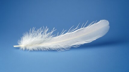 49.Single white feather descending against a clear blue backdrop, appearing light and delicate; the soft texture and graceful shape of the feather enhance the serene, calm mood of a feather drifting