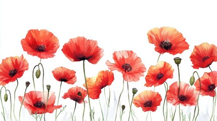 Watercolor Poppy Field