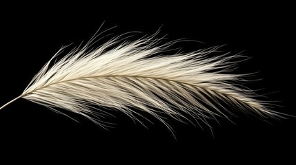 Obraz premium 88.High-resolution image of Mexican feather grass in a frontal view, showing its thin, delicate blades arranged in a soft, flowing form; each fine strand appears feathery and light, adding a sense of