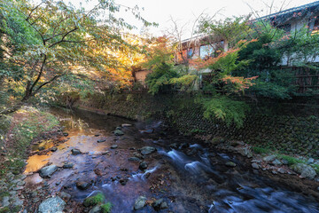 Autumn Foliage over Yoshina River