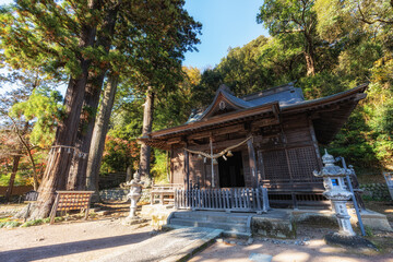Fototapeta premium Shuzenji Hie Jinja Shrine