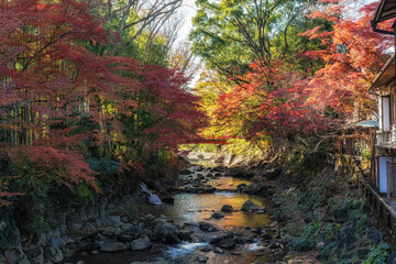 Katsura River Autumn Foliage Scenery