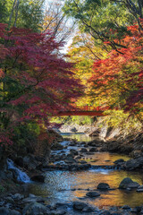 Katsura River Autumn Foliage Scenery