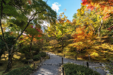 Tenryu-ji Temple Autumn